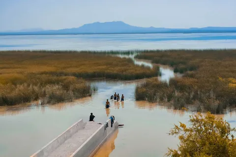 Boys wading through a channel in the reed beds of Chhari Dhand, with the open wetland and hills beyond