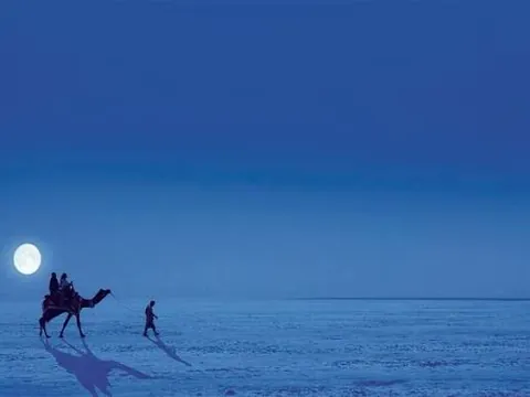 Camel and rider on the white Rann under a full moon